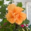 aber0627